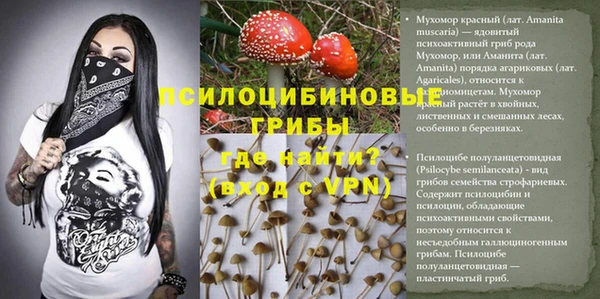 ALPHA PVP Арсеньев